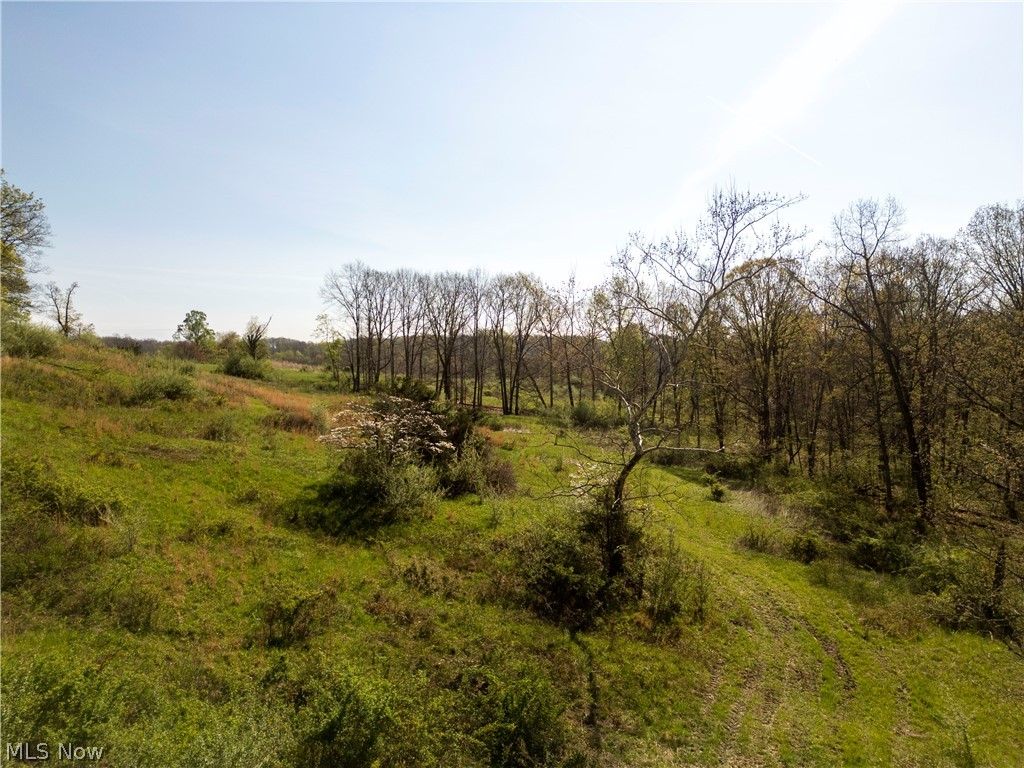 80960 Burkhart Road Tippecanoe, OH 44699 - Photo 4 of 50