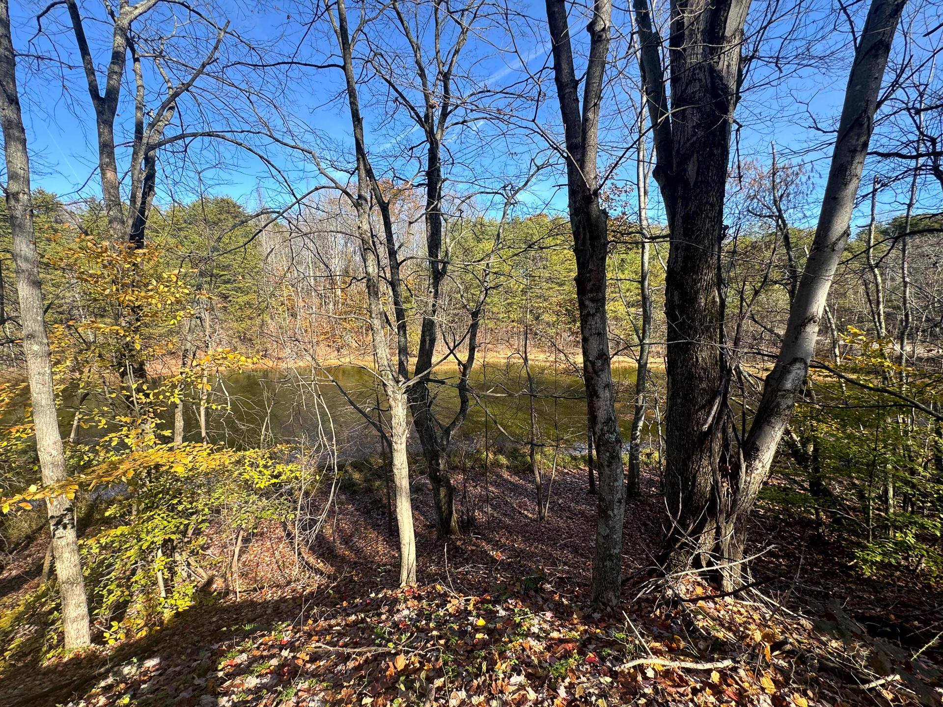 830 Nibert Road, Unit PONDS POPLAR RIDGE TRACT 3) Gallipolis, OH 45631 - Photo 6 of 23 CT-6