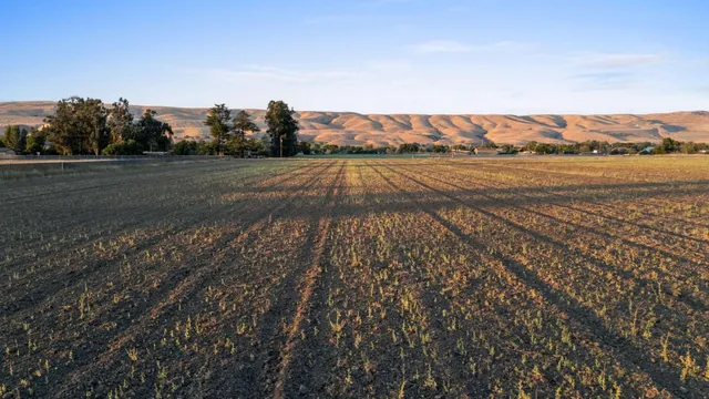 a view of mountain with green field