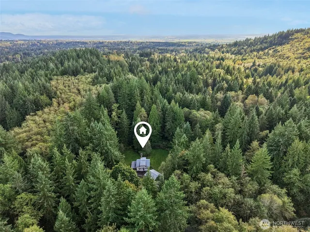 an aerial view of a forest with a yard