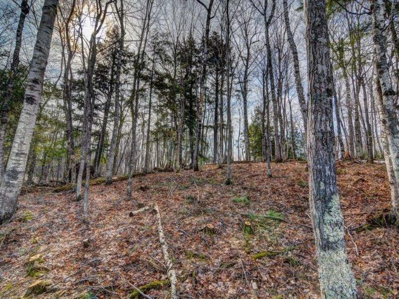 On On Mcdowell Road Presque Isle, WI 54557 - Photo 8 of 11 Gallery Image 8