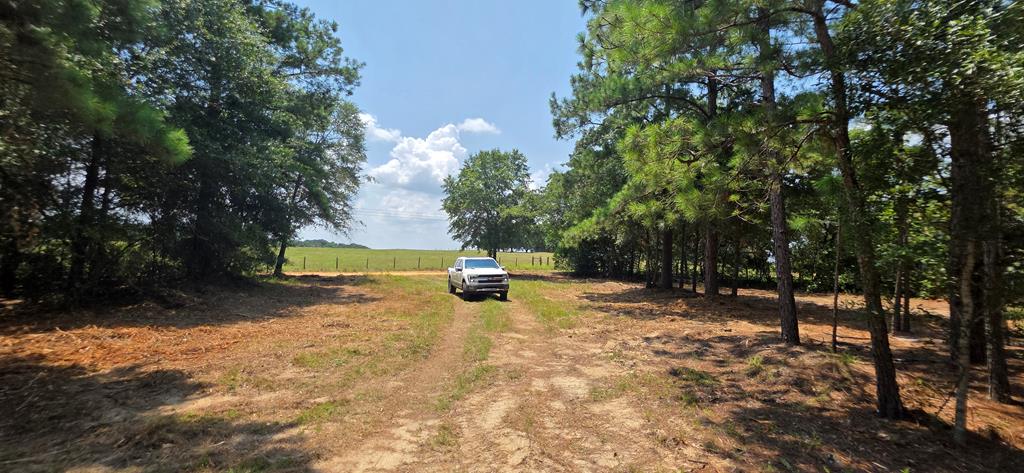 3.14-acres Corbin Road Newton, AL 36352 - Photo 7 of 31 Gallery Image 7