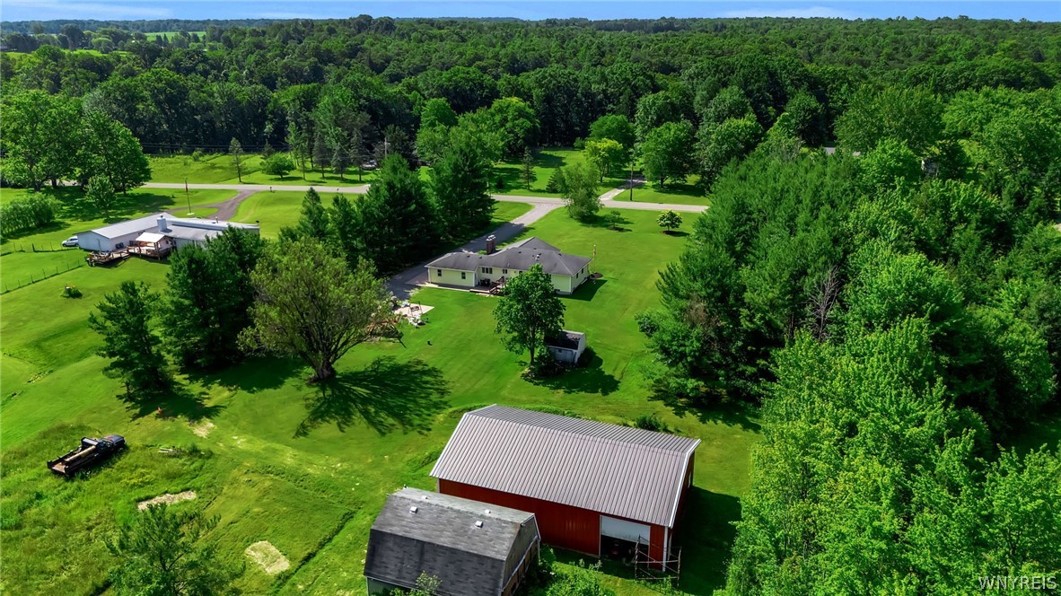 3052 Kulp Road Eden, NY 14057 - Photo 46 of 49