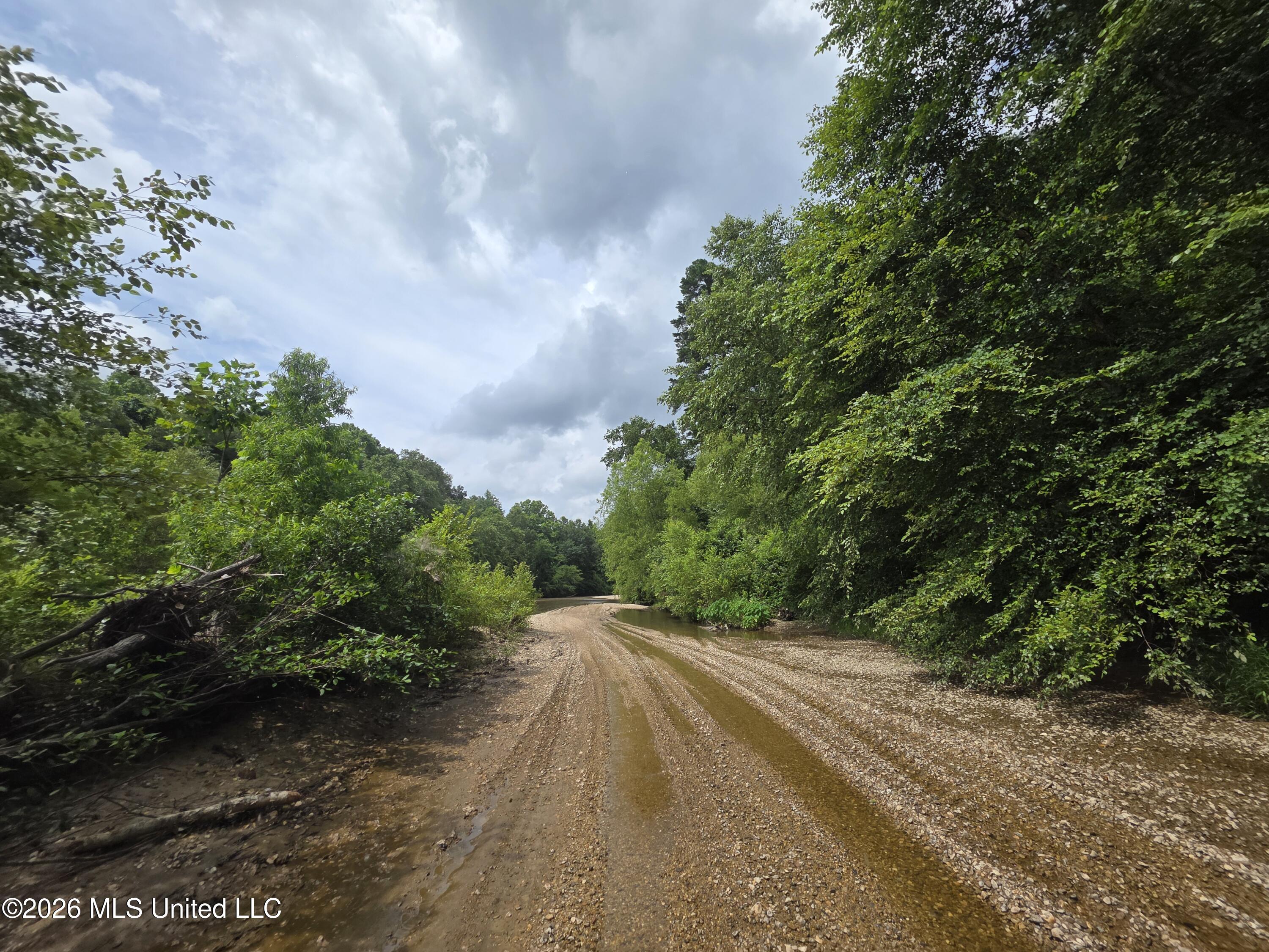 244 Foster Road Sontag, MS 39665 - Photo 7 of 105 35701