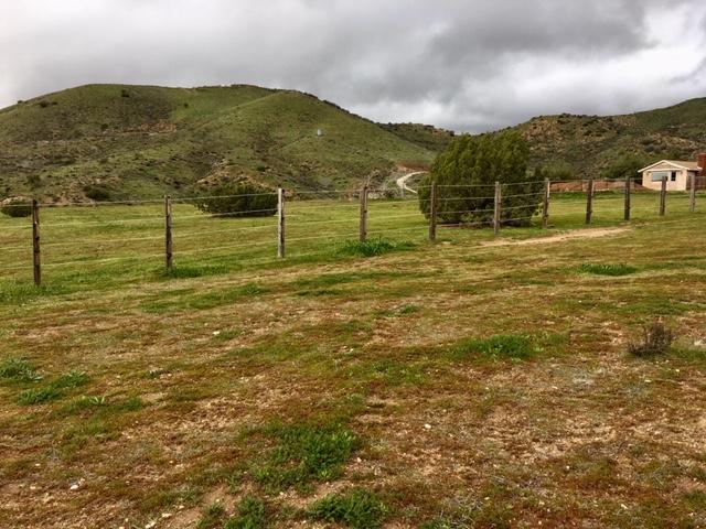 Red Rover Mine Road Acton, CA 93510 - Photo 5 of 9 a view of a garden