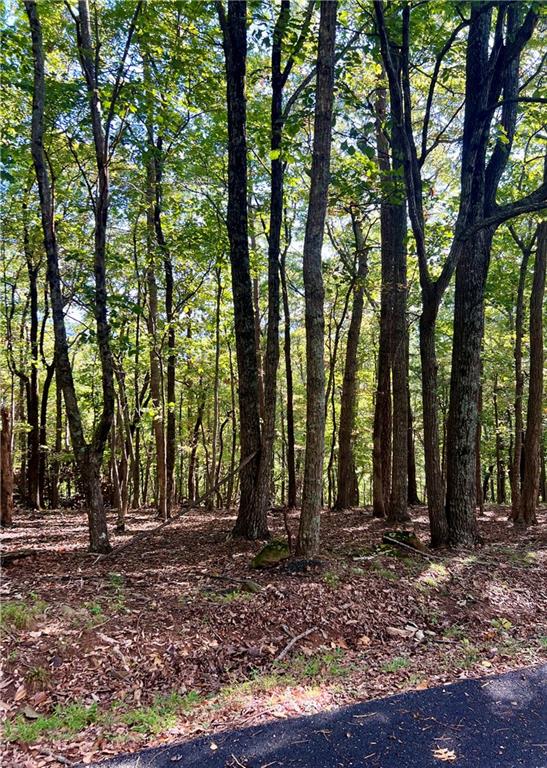 402 South View Trail Jasper, GA 30143 - Photo 2 of 6 a view of outdoor space and tree