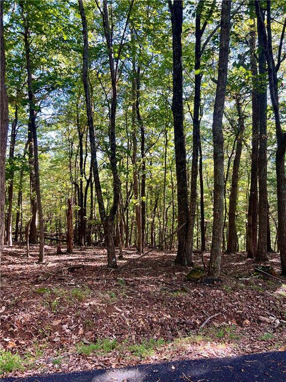 402 South View Trail Jasper, GA 30143 - Photo 3 of 6 a view of outdoor space with trees