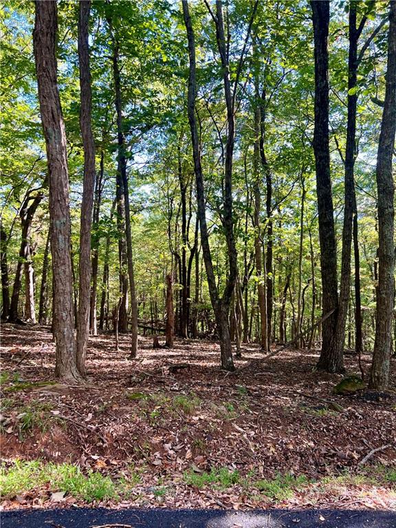 402 South View Trail Jasper, GA 30143 - Photo 4 of 6 a view of outdoor space with trees