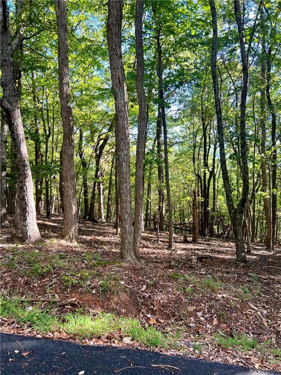 402 South View Trail Jasper, GA 30143 - Photo 5 of 6 a view of outdoor space with green space