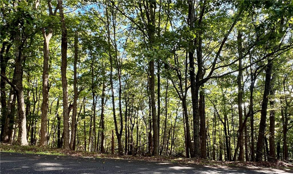402 South View Trail Jasper, GA 30143 - Photo 6 of 6 a view of outdoor space with deck and tree