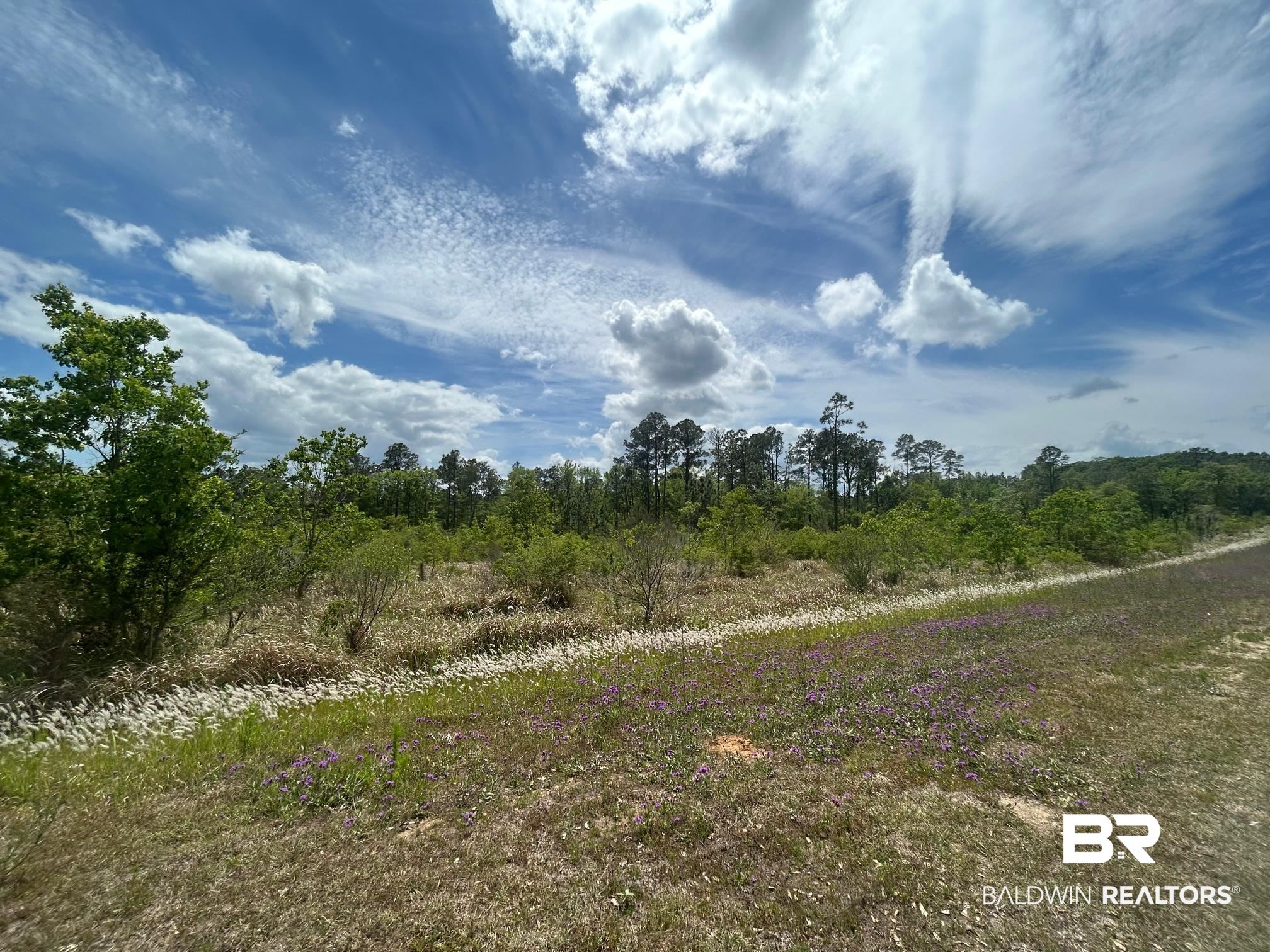 0 Hampton Road Mobile, AL 36608 - Photo 5 of 13
