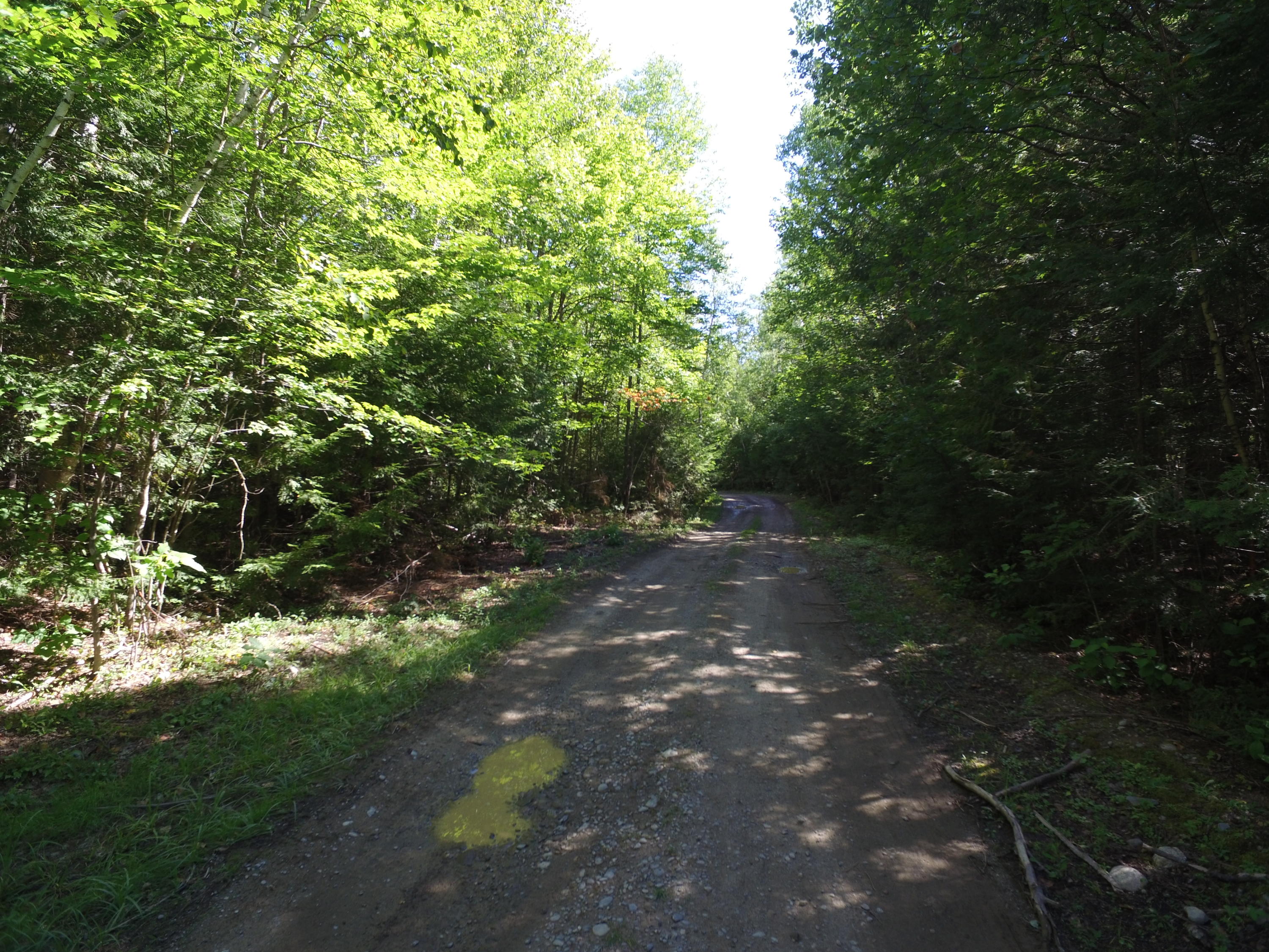 13 Map Road Lincoln, ME 04457 - Photo 1 of 6 DJI_0154