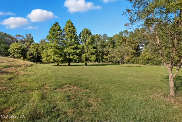 $650,000 | 2275 Frank Hall Road, Bolton, MS 39041