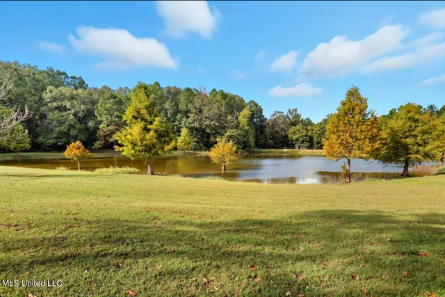 $650,000 | 2275 Frank Hall Road, Bolton, MS 39041