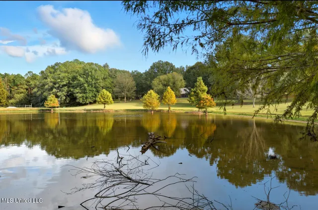 $650,000 | 2275 Frank Hall Road, Bolton, MS 39041