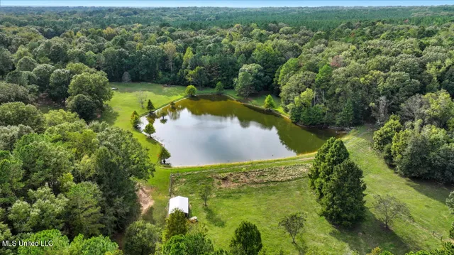 $650,000 | 2275 Frank Hall Road, Bolton, MS 39041