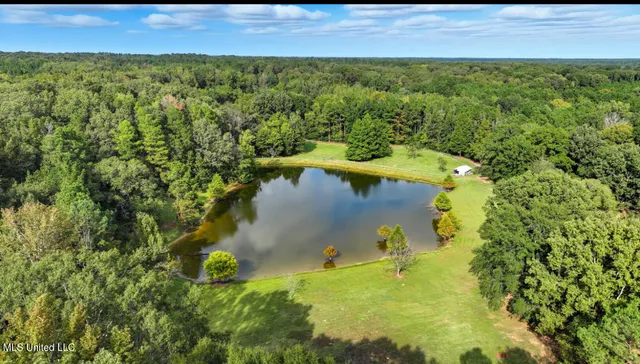$650,000 | 2275 Frank Hall Road, Bolton, MS 39041