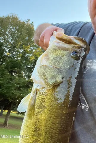 $650,000 | 2275 Frank Hall Road, Bolton, MS 39041