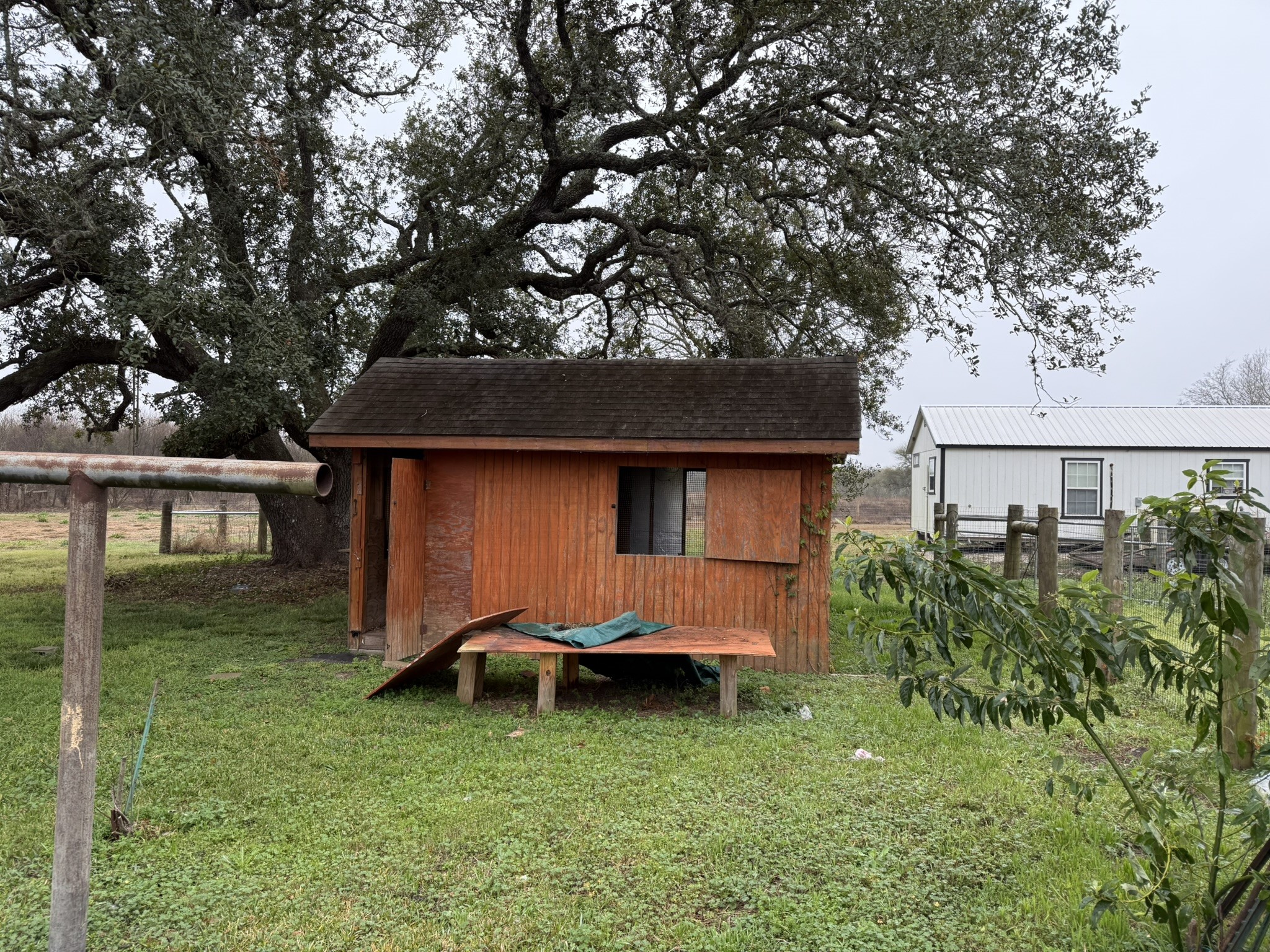13907 Mueck Road Needville, TX 77461 - Photo 24 of 27 a front view of a house with garden