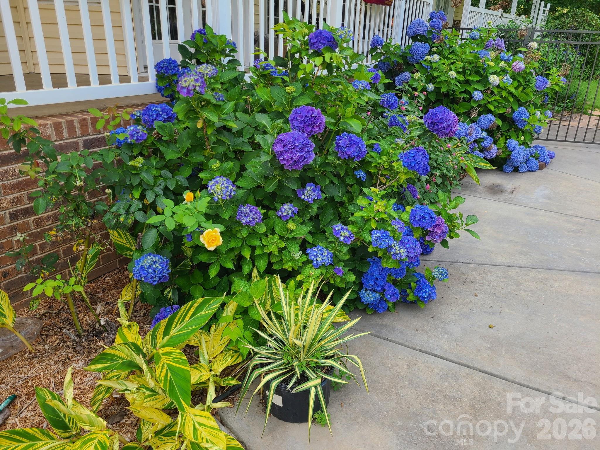 1804 Riva Ridge Court York, SC 29745 - Photo 34 of 37