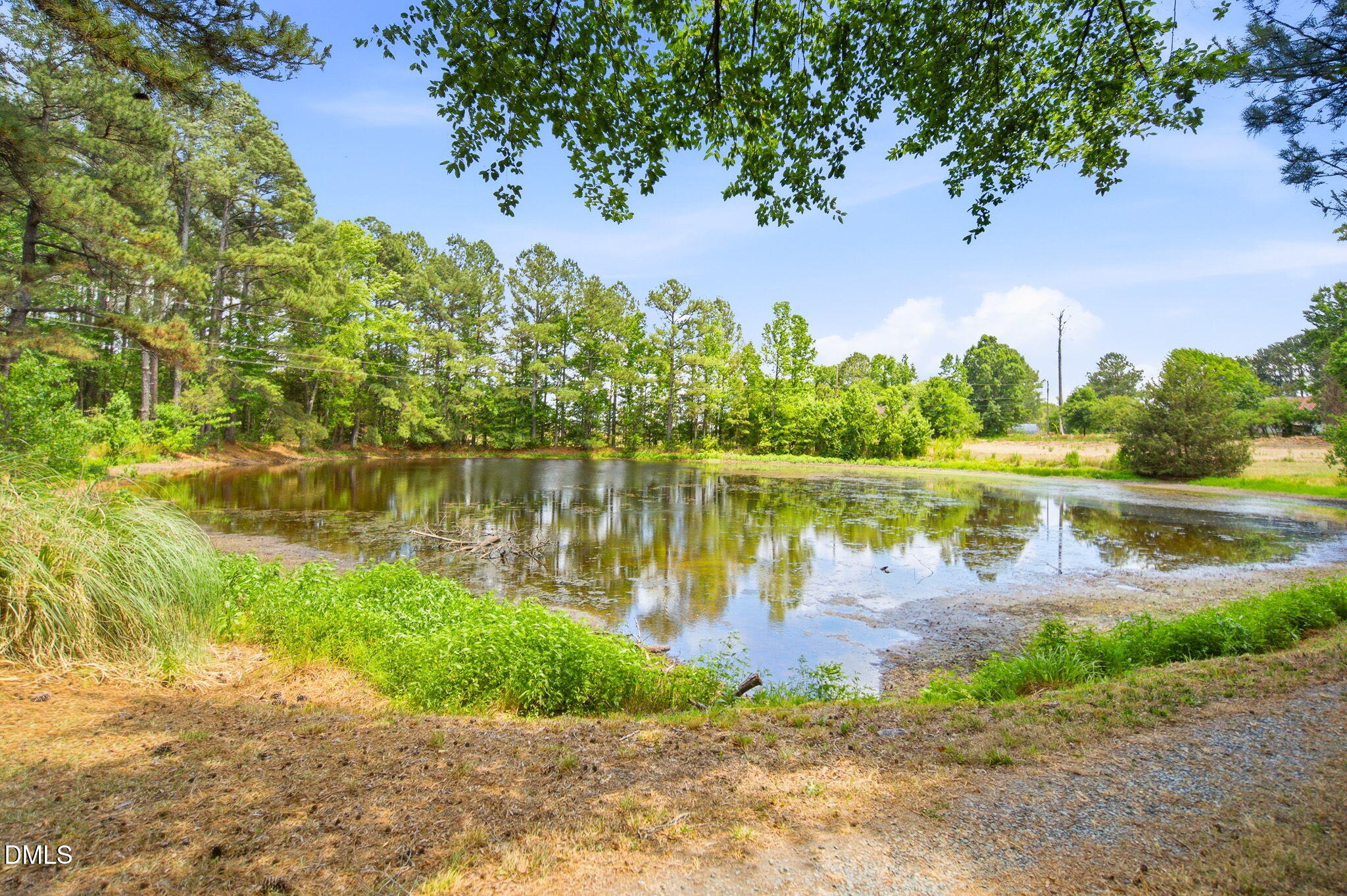 3924 Lewis Road Snow Camp, NC 27349 - Photo 2 of 20