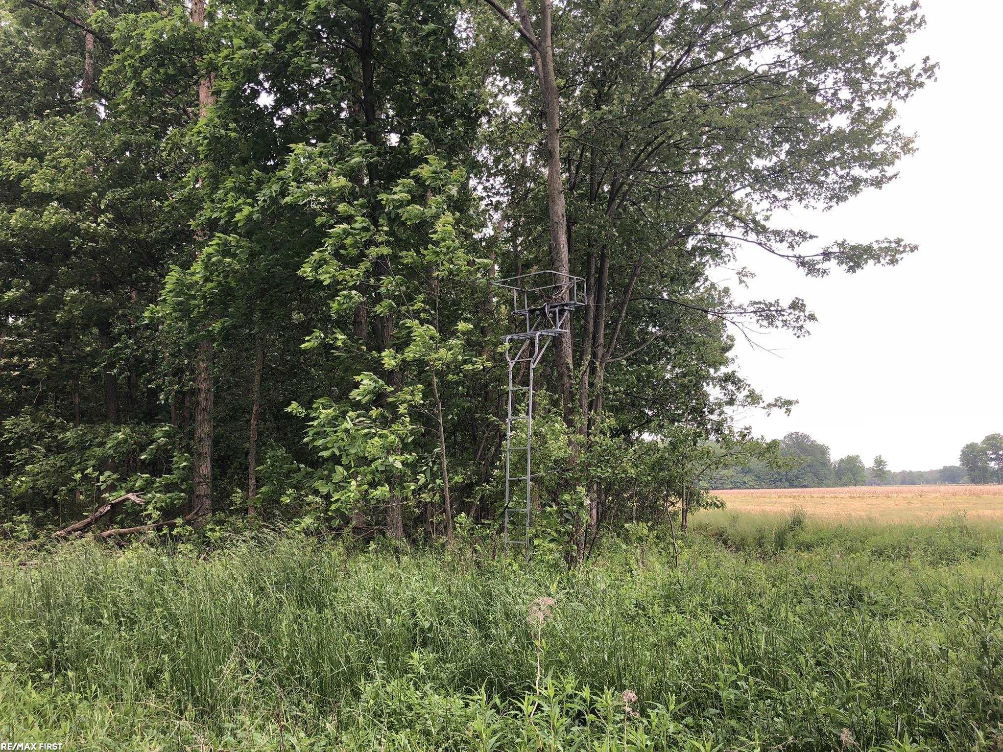 0 29 29 Mile Road New Haven, MI 48050 - Photo 29 of 38