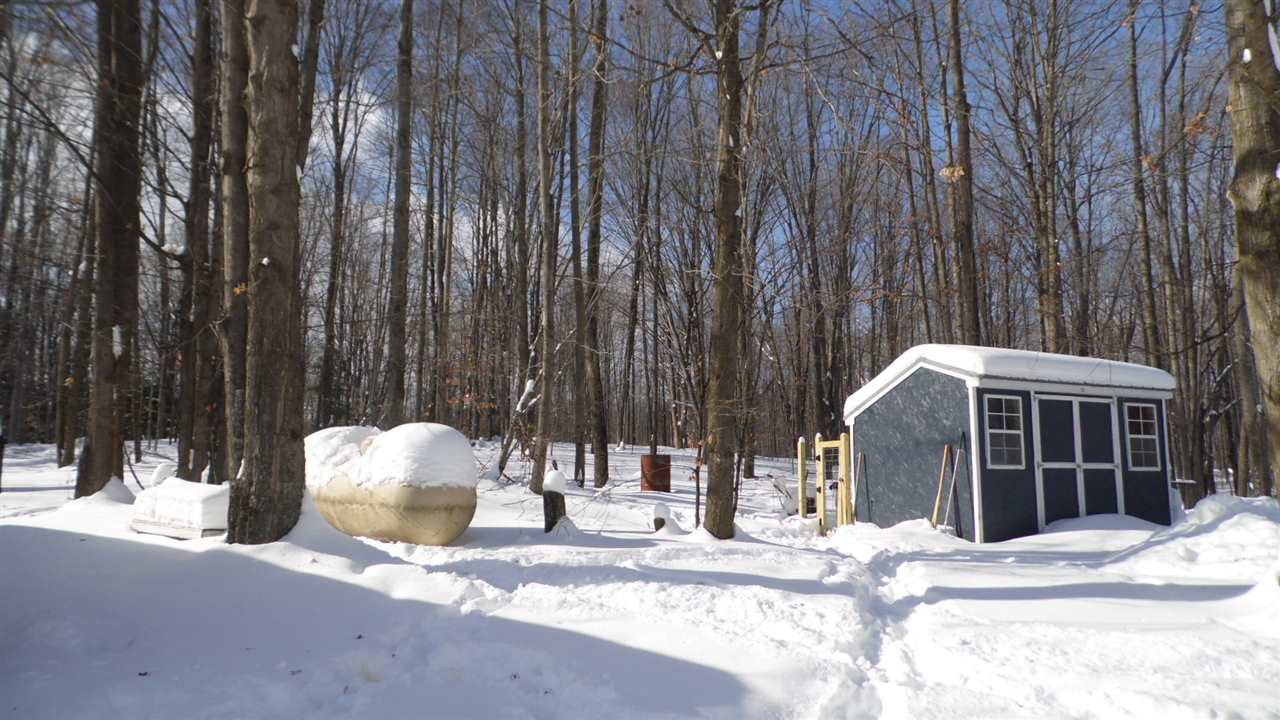 3325 Flynn Road Rose City, MI 48654 - Photo 32 of 36 1857291-31.JPG