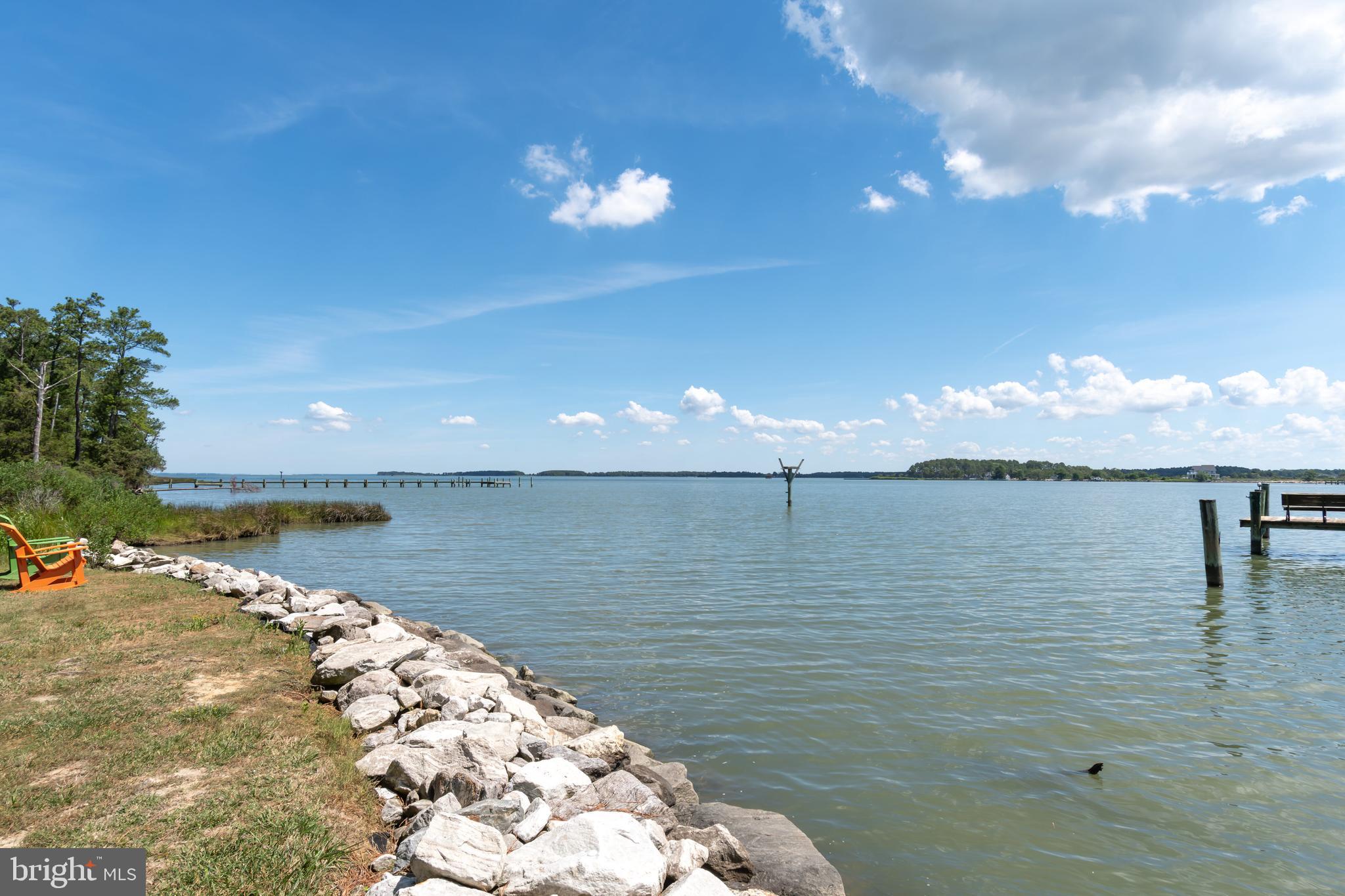 612 Hills Point Road Cambridge, MD 21613 - Photo 9 of 102 living and rip rapped shoreline