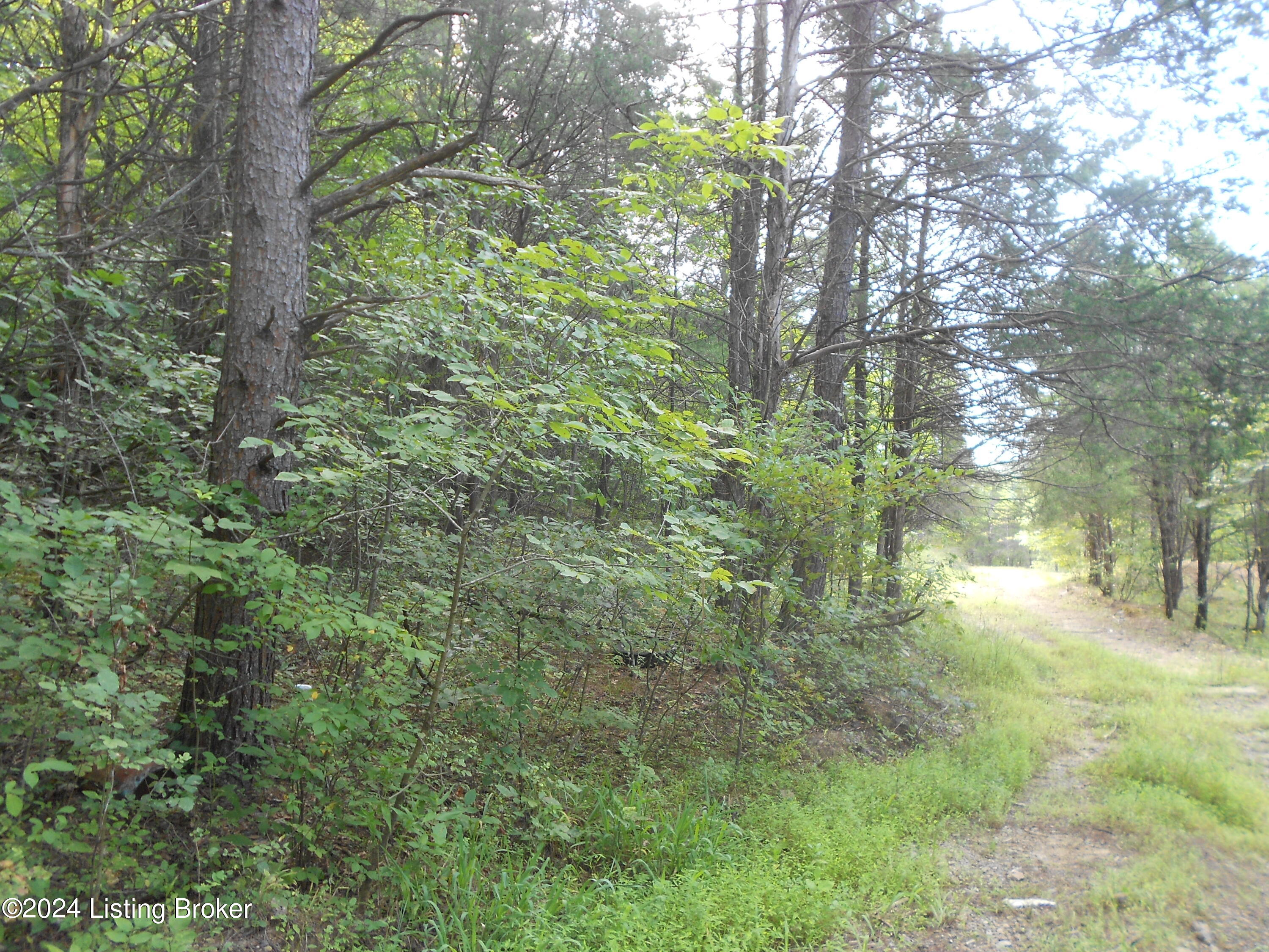 0 Harrison Fork Road Coxs Creek, KY 40013 - Photo 3 of 7 DSCN6627