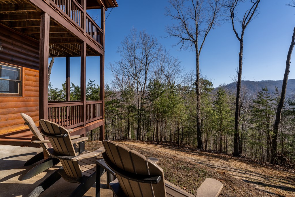 122 Overlook Way Blue Ridge, GA 30513 - Photo 61 of 65 Gallery Image 61