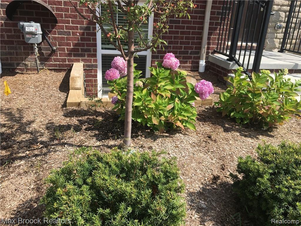 2861 Hartwick Drive, Unit 132 Rochester, MI 48307 - Photo 4 of 24