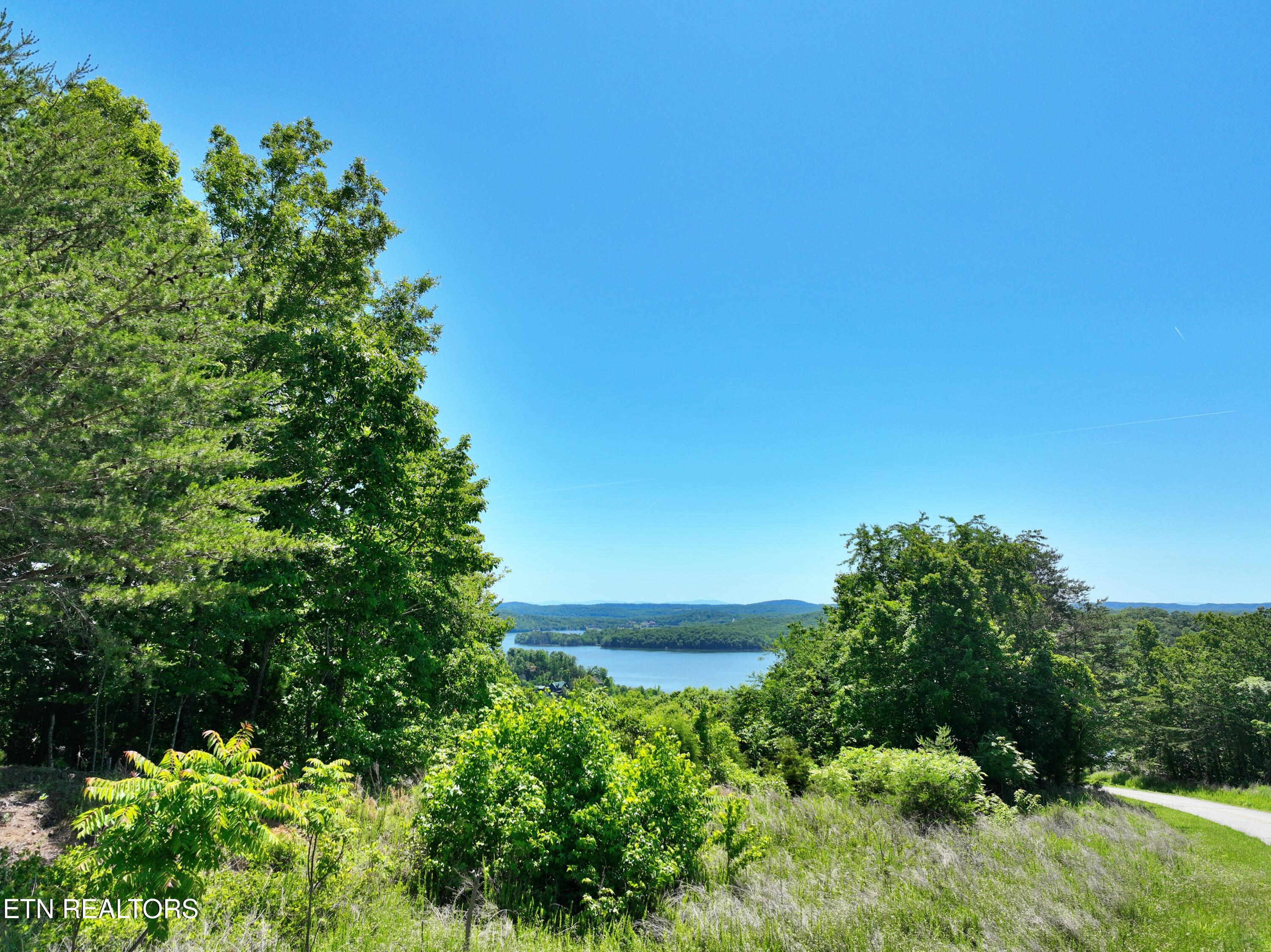 0 Flint Ridge Road Rockwood, TN 37854 - Photo 1 of 37 DJI_0607