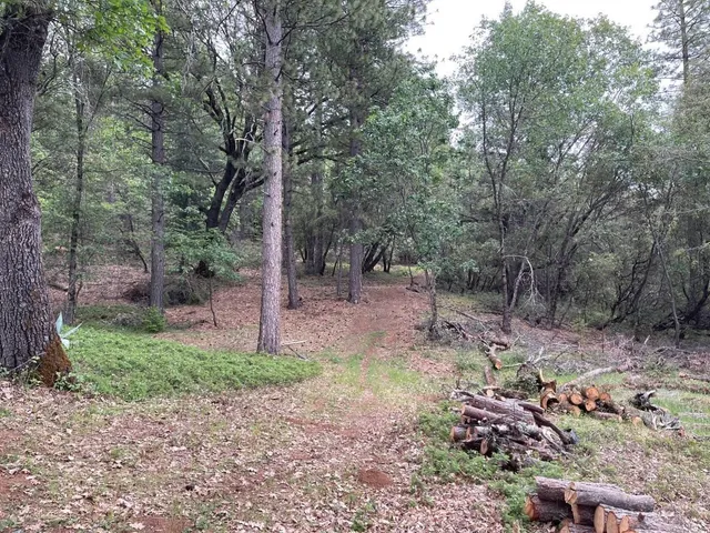 a backyard of a house with lots of green space