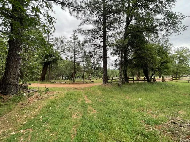 a view of backyard with green space