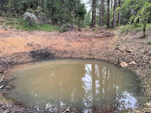 a view of a lake from a yard