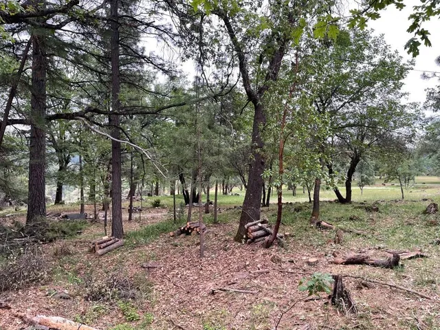 a view of outdoor space with lots of trees