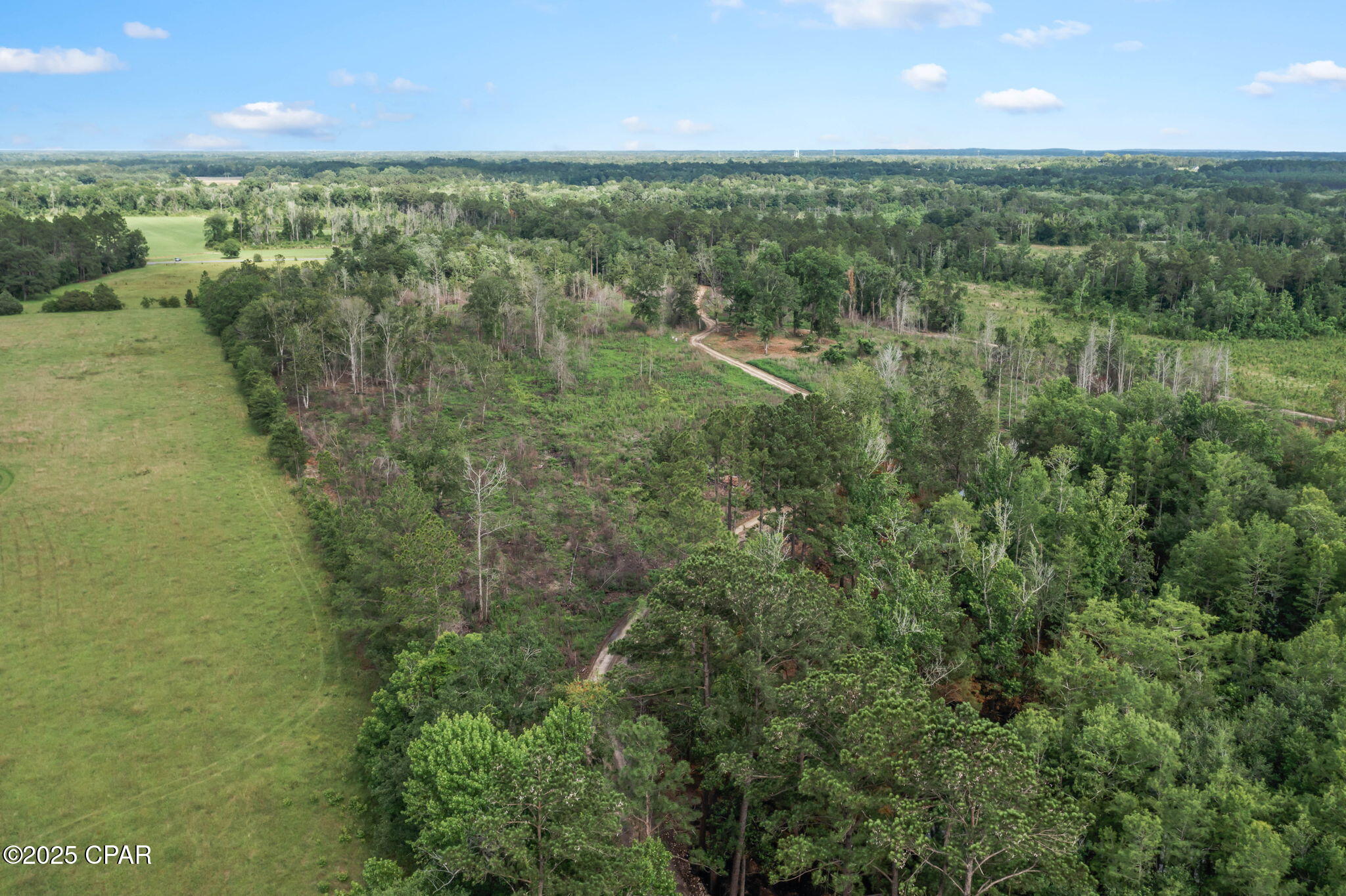 Xxx Cope Road Chipley, FL 32428 - Photo 25 of 34