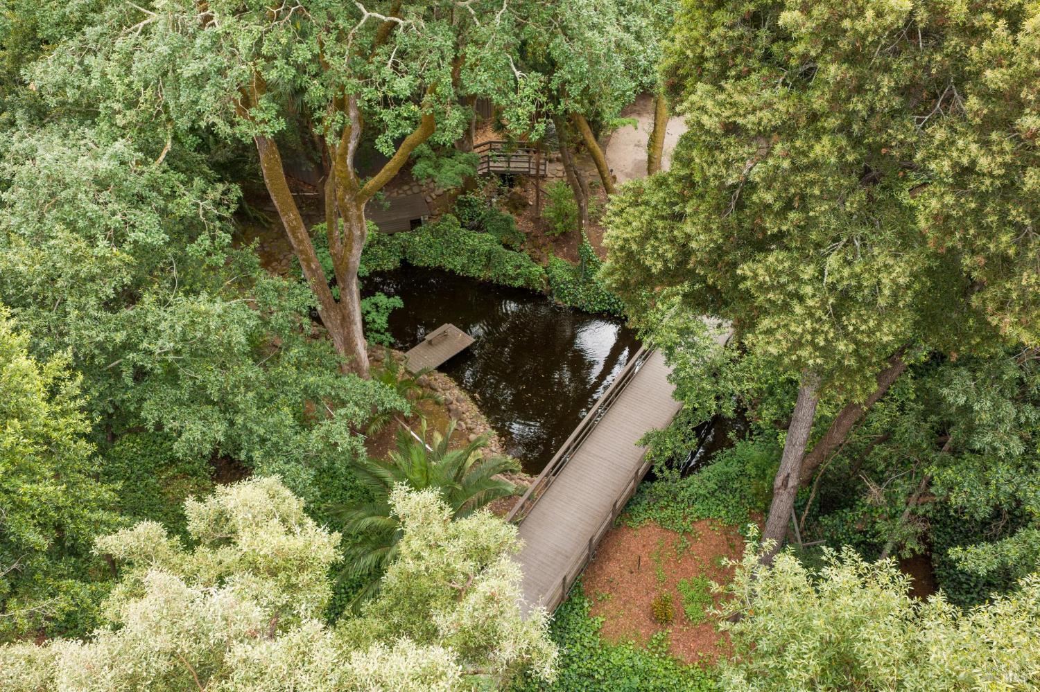 110 Mountain View Avenue San Rafael, CA 94901 - Photo 49 of 83 The pond nestled in the trees.