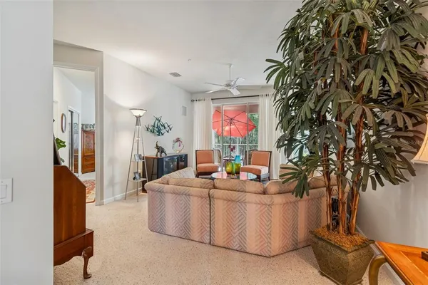 a view of a living room and a potted plant