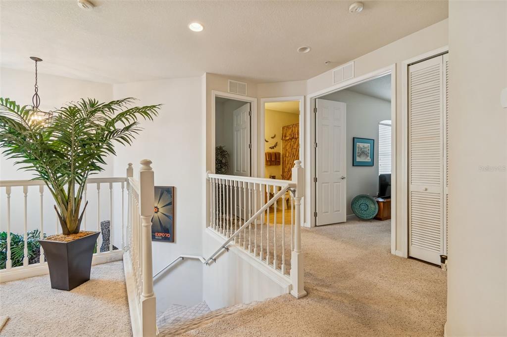 894 Lantern Way Clearwater, FL 33765 - Photo 38 of 75 a view of a living room and a potted plant
