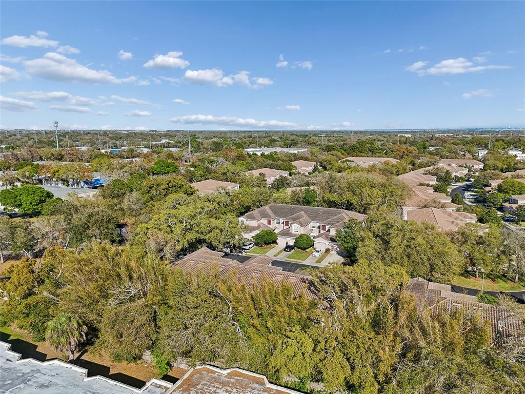 894 Lantern Way Clearwater, FL 33765 - Photo 73 of 75