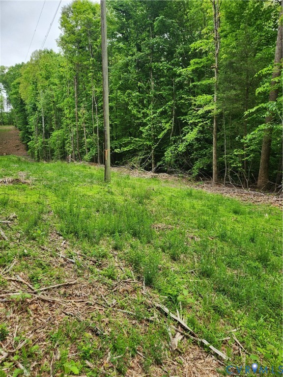 0 Bryants Ford Road Fork Union, VA 23055 - Photo 3 of 14 Electricity crosses the property.