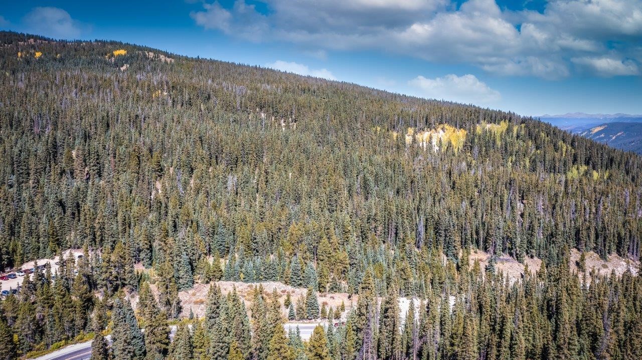 91 Mccullough Gulch Road Breckenridge, CO 80424 - Photo 15 of 16 Gallery Image 15