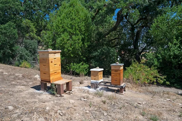 $6,999,000 | 125 Cristo Lane, Santa Rosa, CA 95409