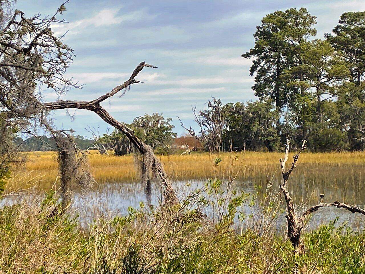 2 Long Island Road Meggett, SC 29449 - Photo 1 of 44 250ft +/- linear creek frontage!