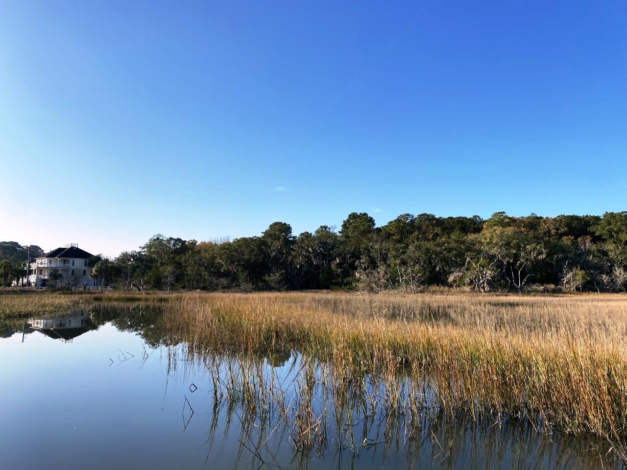 2 Long Island Road Meggett, SC 29449 - Photo 13 of 44 Neighbors house!
