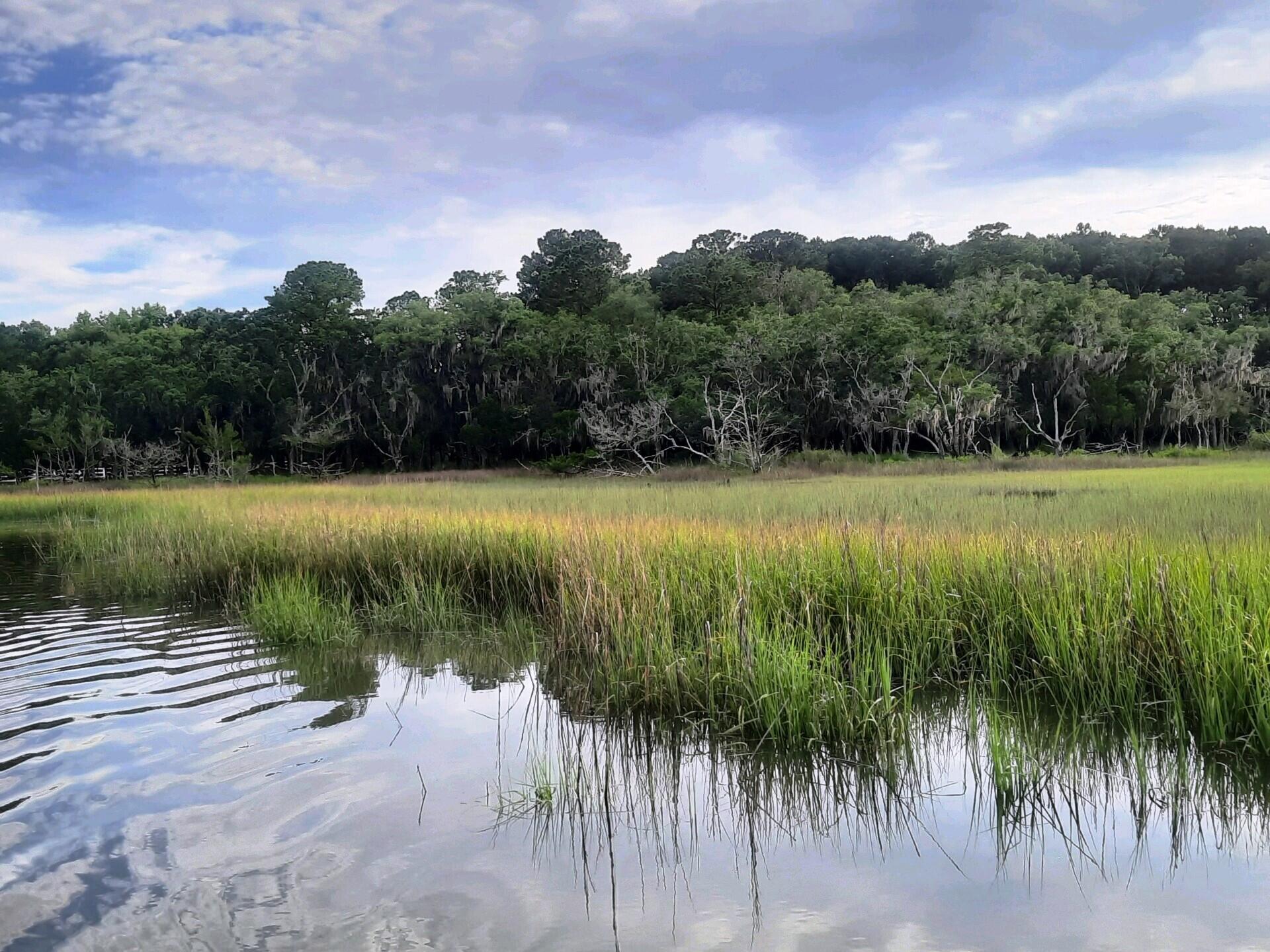2 Long Island Road Meggett, SC 29449 - Photo 16 of 44 Very private creek!