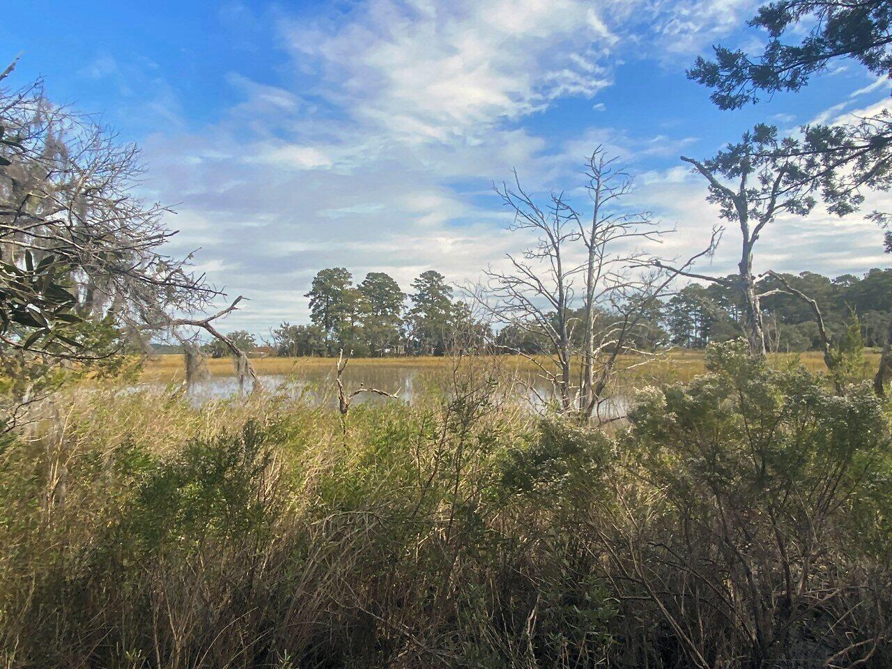 2 Long Island Road Meggett, SC 29449 - Photo 18 of 44 Only 3 large lots on 9 acres!