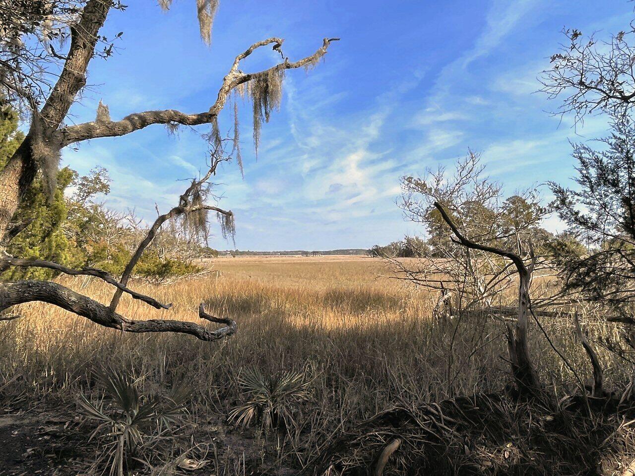 2 Long Island Road Meggett, SC 29449 - Photo 19 of 44 Marsh views!
