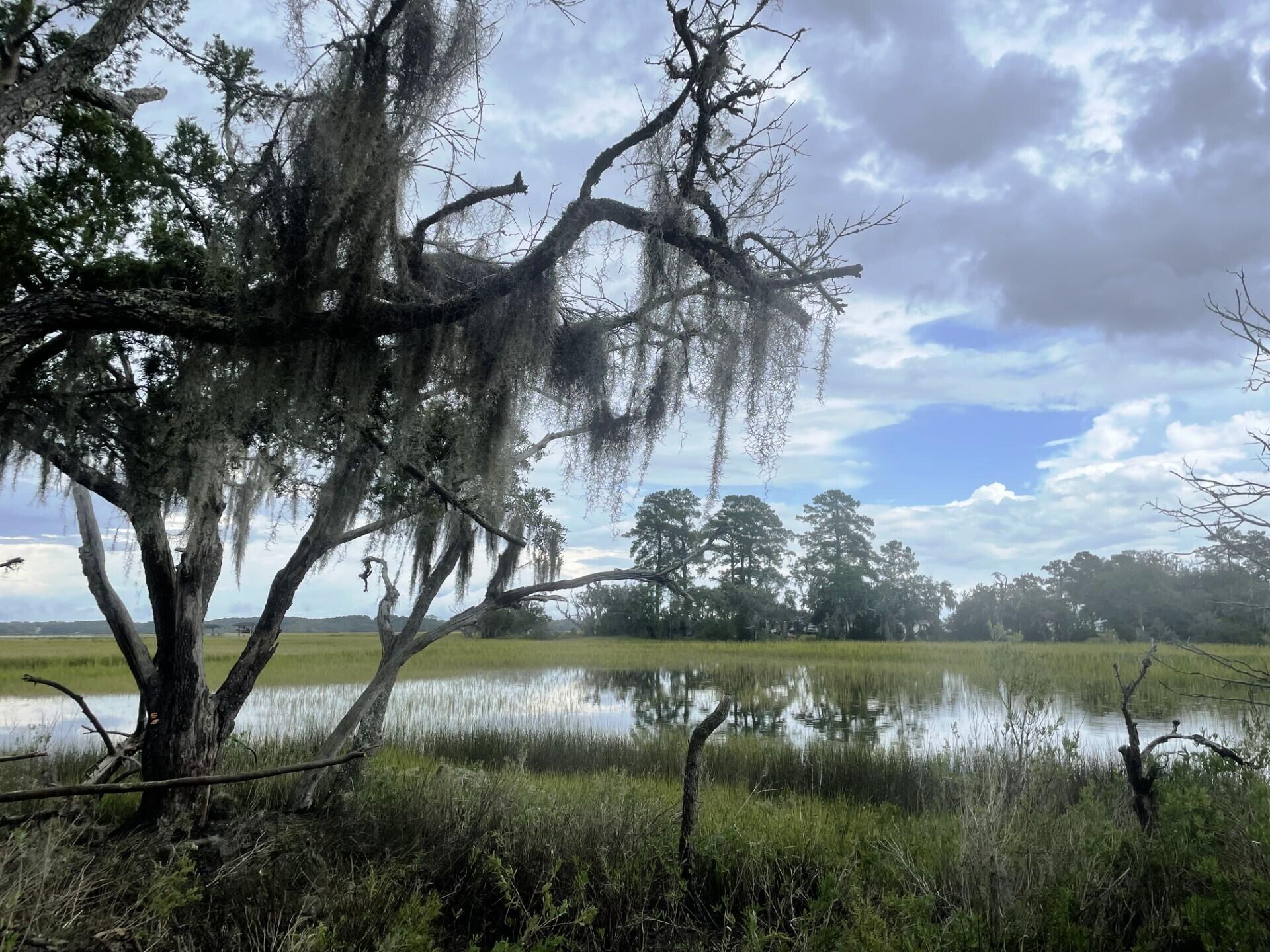 2 Long Island Road Meggett, SC 29449 - Photo 2 of 44 Great views!
